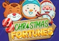 3 Christmas Fortunes game icon